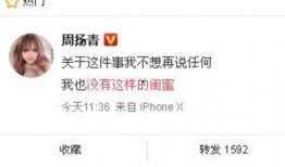 晶核最新资讯爆料,揭秘科技巨头未来布局与突破